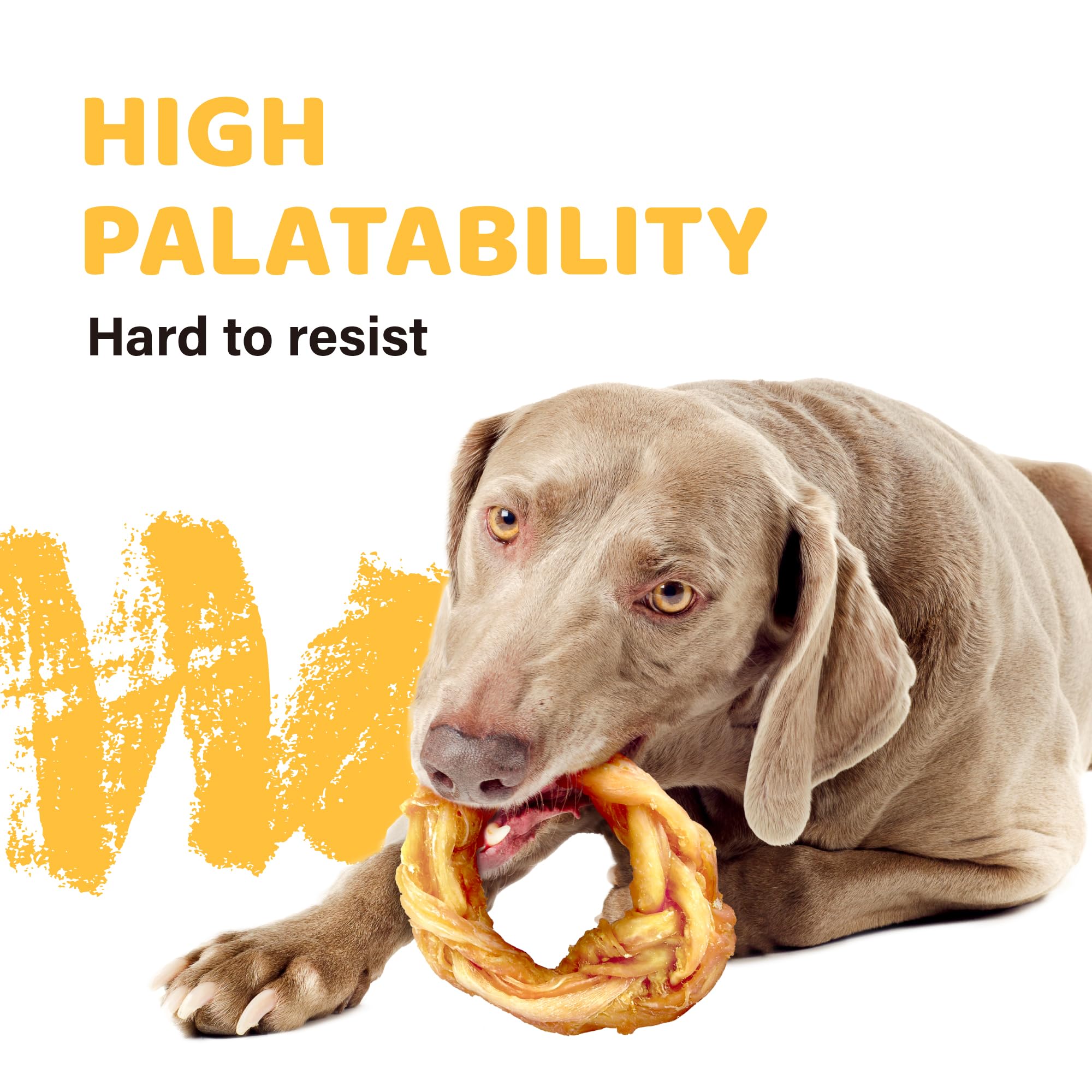iPaw tendones de pavo: aroma natural que atrae a perros curiosos.