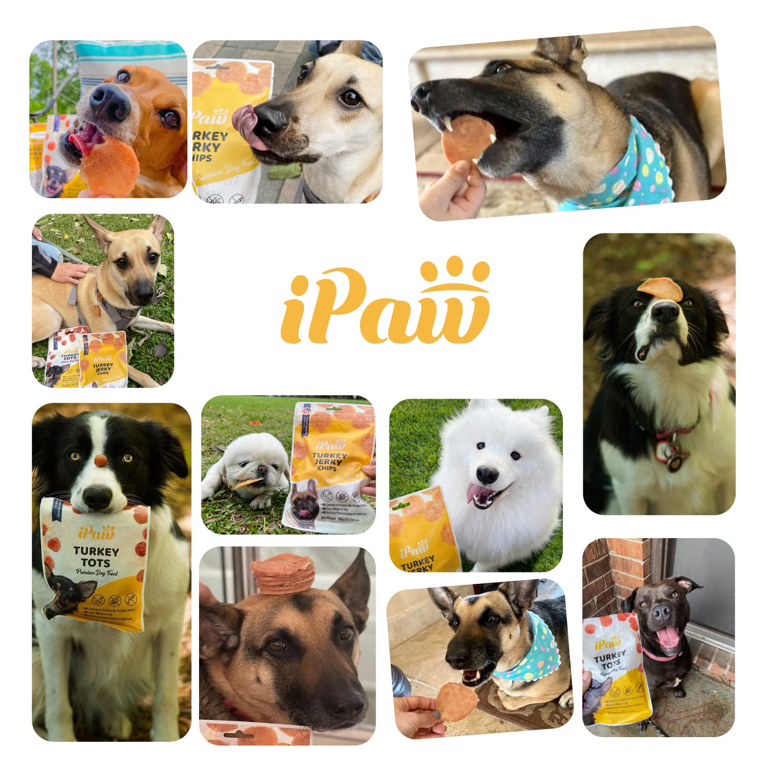iPaw Tots de Pollo sin granos ni aditivos, opción natural para premiar.