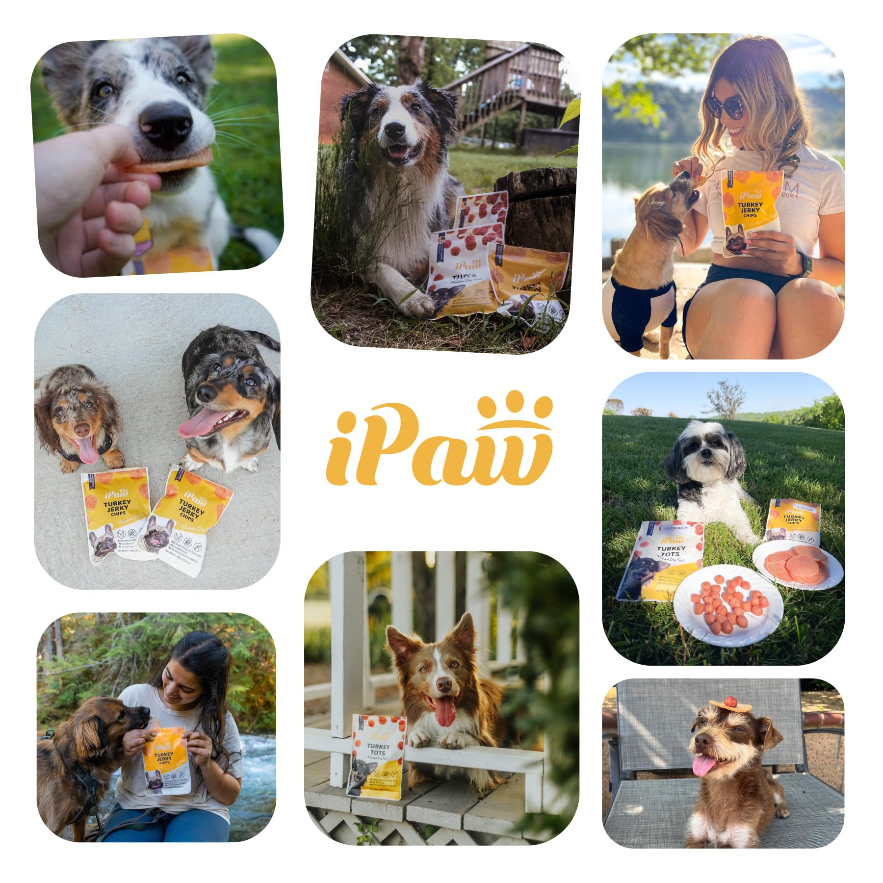 iPaw Tots de Pollo en empaque práctico mantiene frescura para entrenamientos.