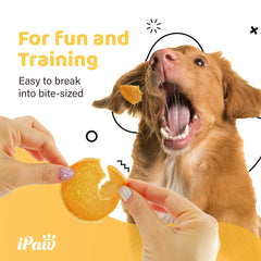 iPaw trozos de pollo, textura suave y fácil de masticar para perros.
