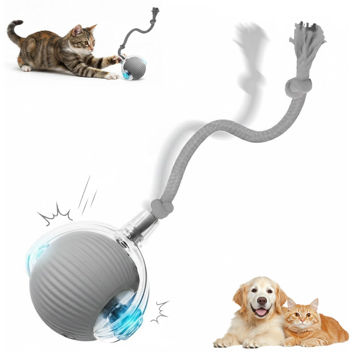 Ipawsplus pelotas interactiva para perros en interior, juego seguro y entretenido