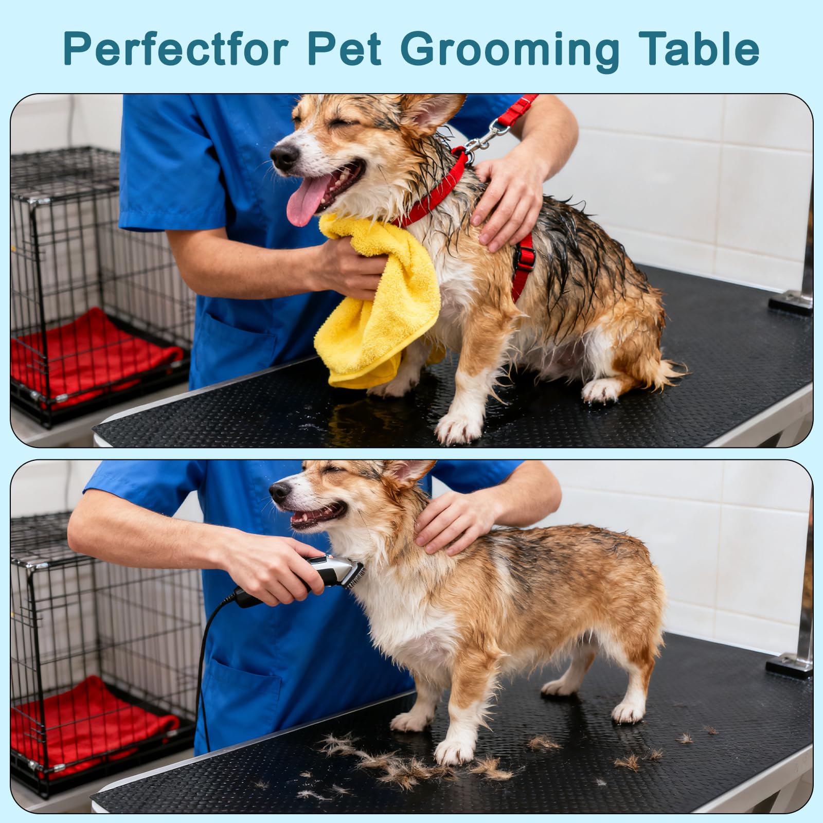 IPENP protección para patas caninas durante el cuidado
