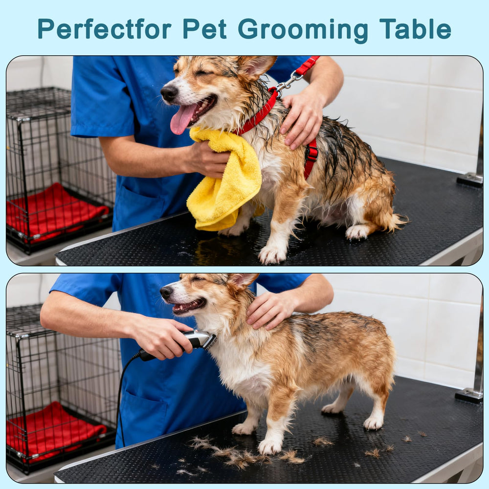 IPENP protección para patas caninas durante el cuidado