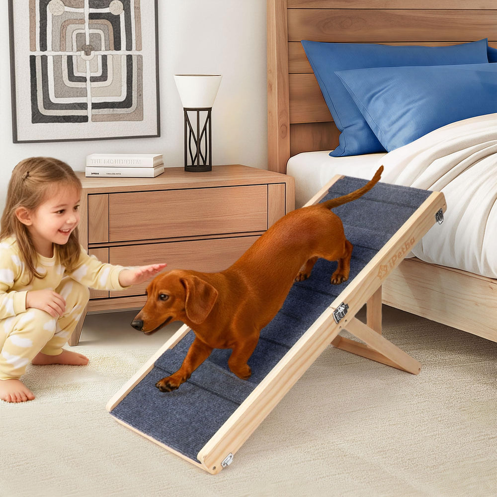 IPETBA rampa para perro sillon ajuste: subida más cómoda y estable.
