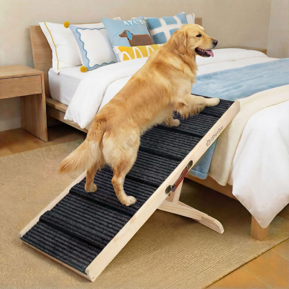IPETBA rampa para perros en cama y sofá facilita subir sin esfuerzo.
