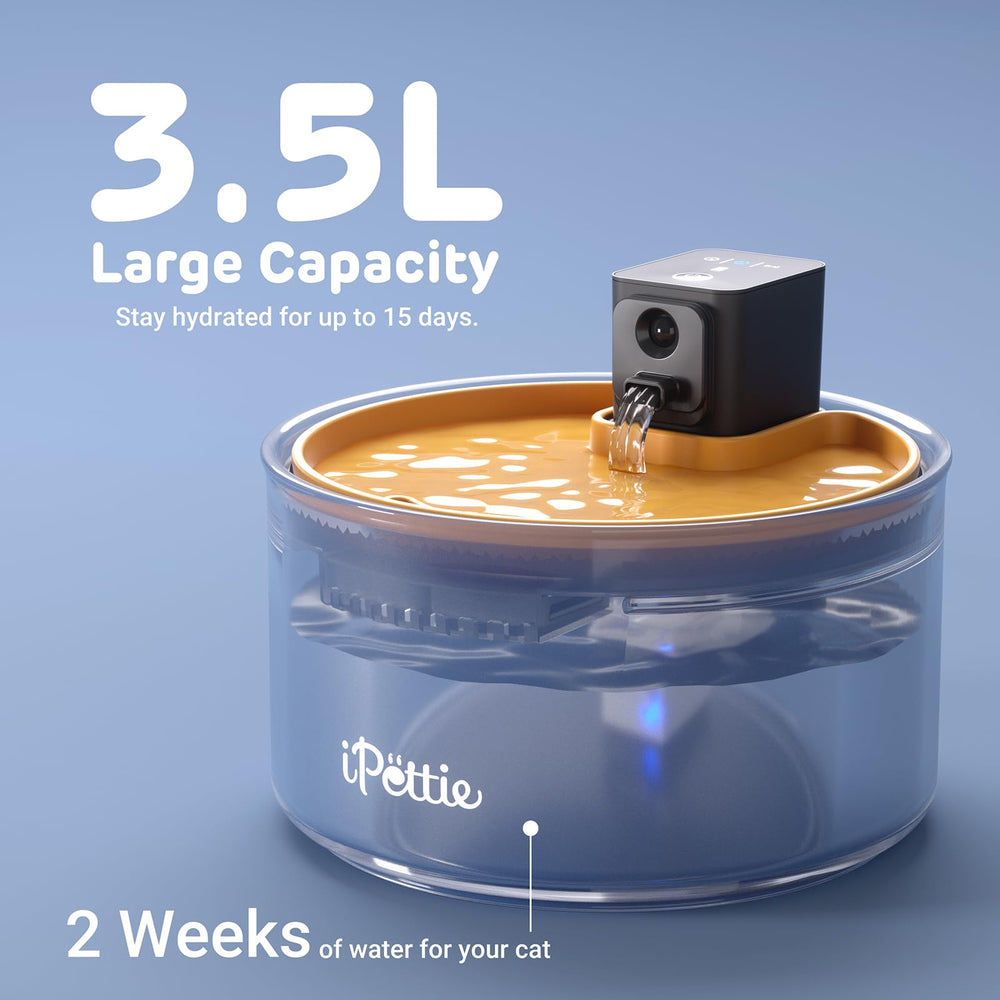 iPettie bebedero con capacidad 3.5L para varios gatos.