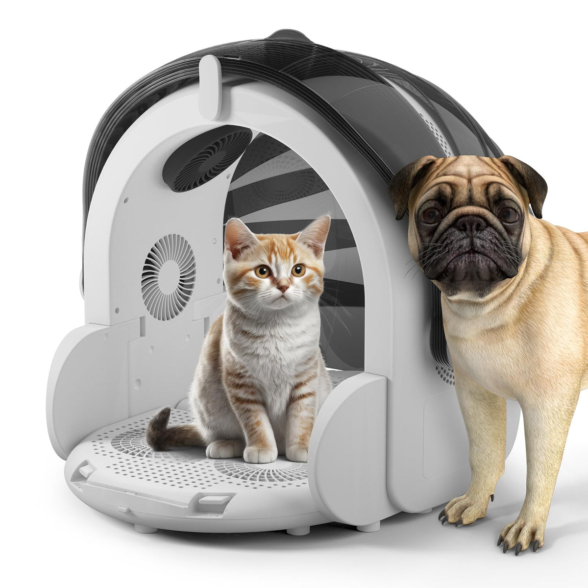 iPettie caja-secado-frontal facilita un secado uniforme para gatos y perros pequeños.