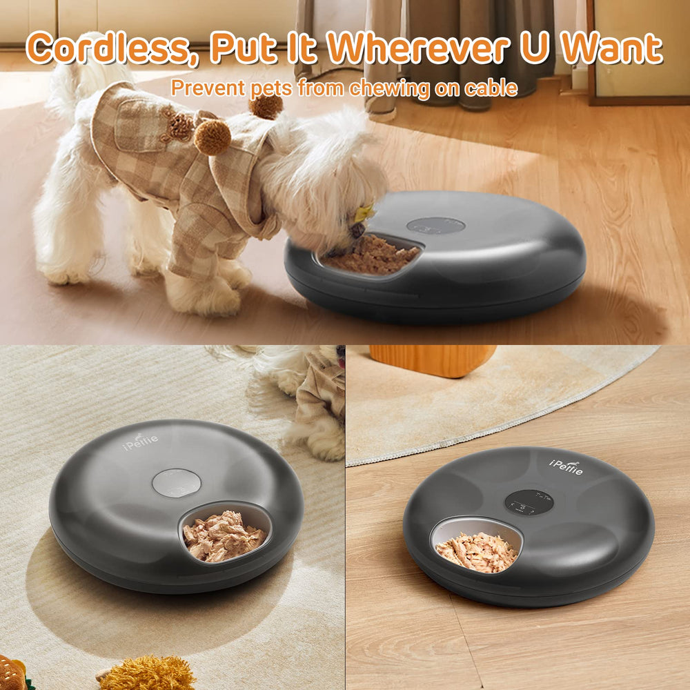 ipettie donut frost pantalla de programacion, controla comidas