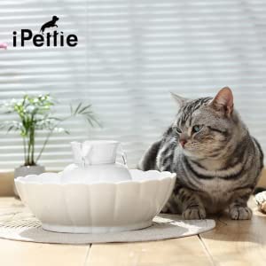 iPettie mantenimiento de filtros: limpieza regular garantiza agua de calidad para mascotas