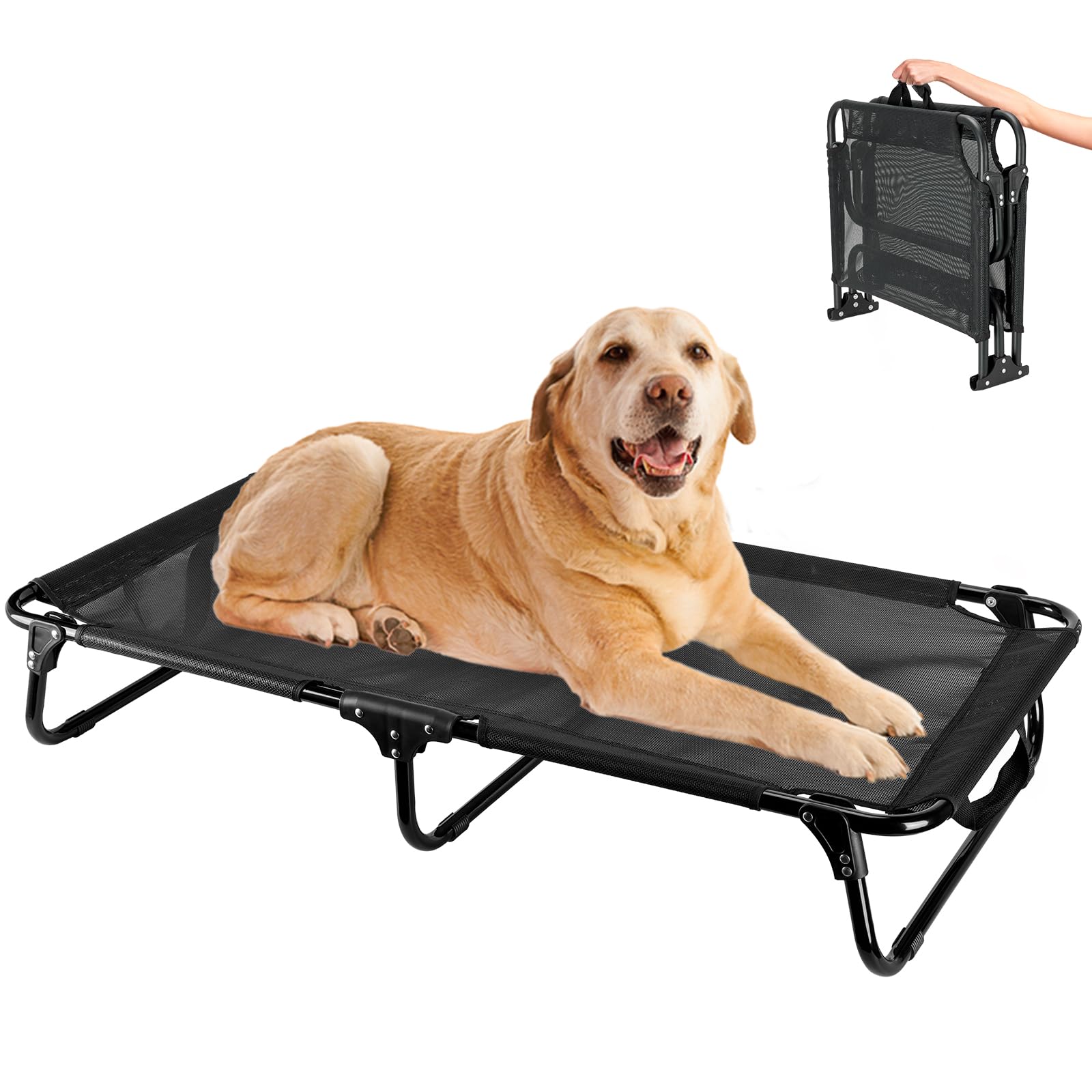 Ipixune cama para perro elevada sin montaje, lista para uso inmediato