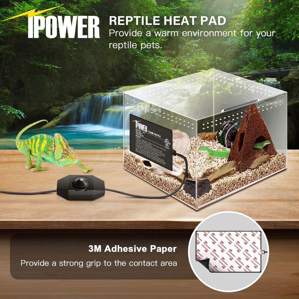 iPower manta calentadora para terrario 4x7 instalada en la lateral del tanque.