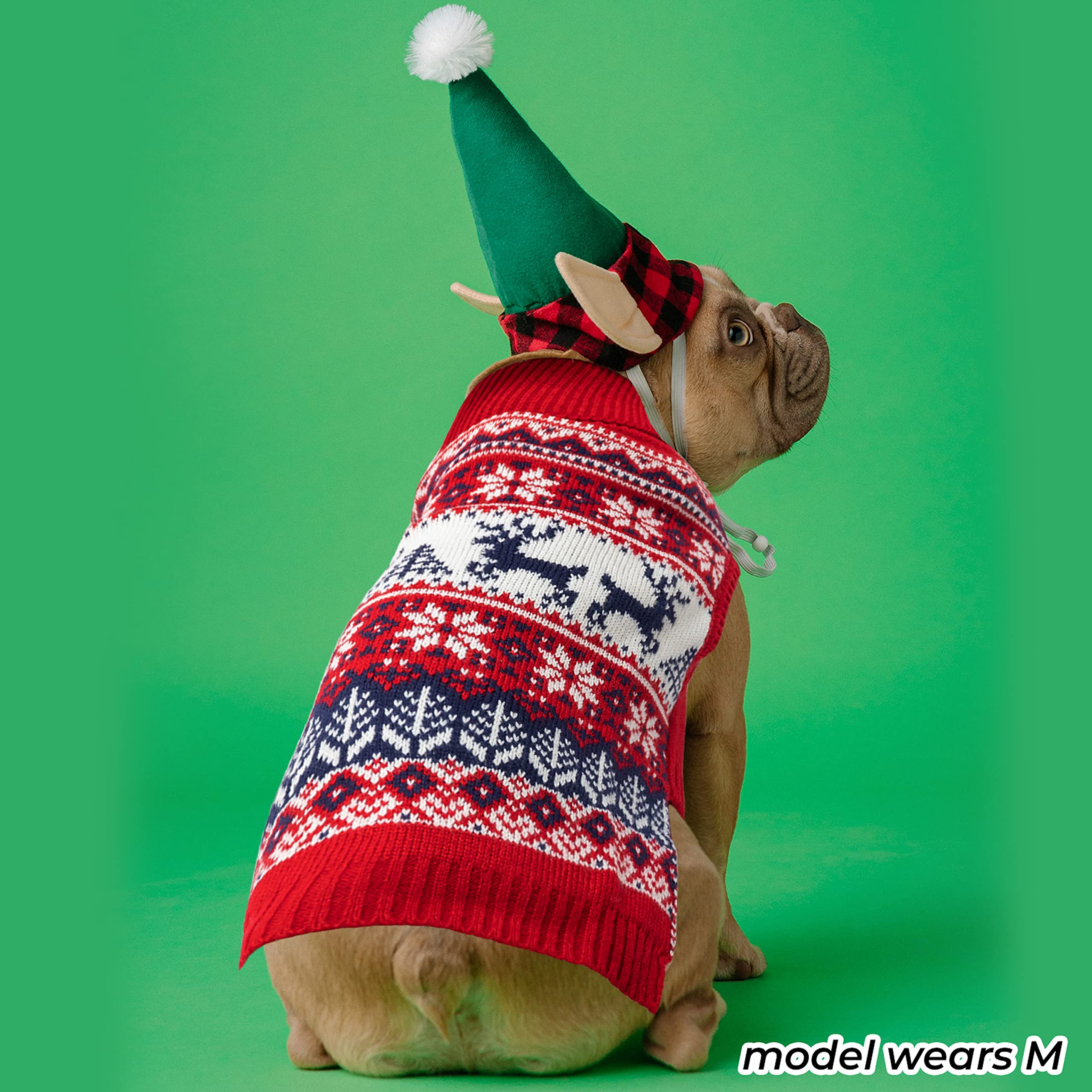 IPRAVOCI apariencia navideña para sesión de fotos con perro