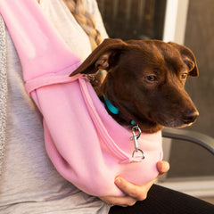 iPrimio: ideal para mascotas pequeñas durante caminatas urbanas.