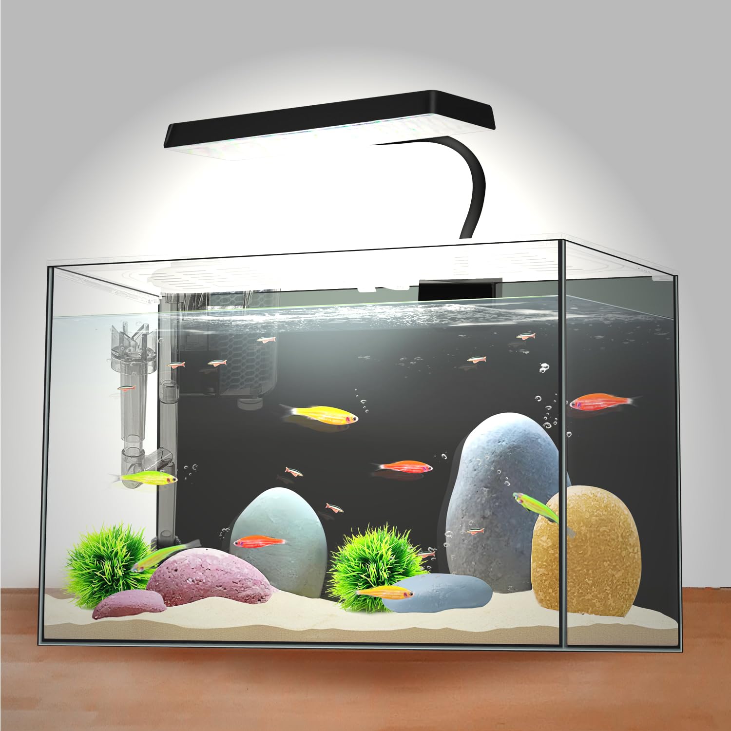 iPriro acuario nano para dos Bettas con espacio de nado.