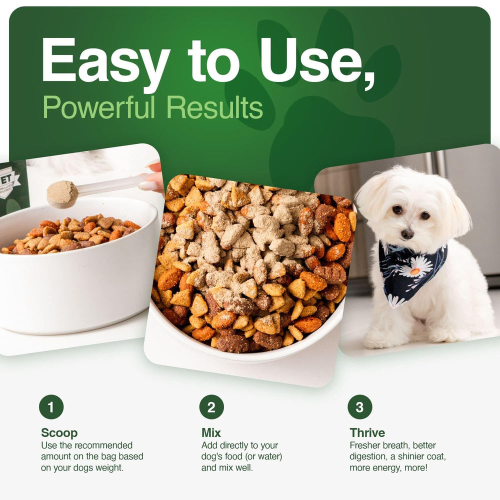 Iron Paws digestivo e inmunitario con probióticos y fibra saludable