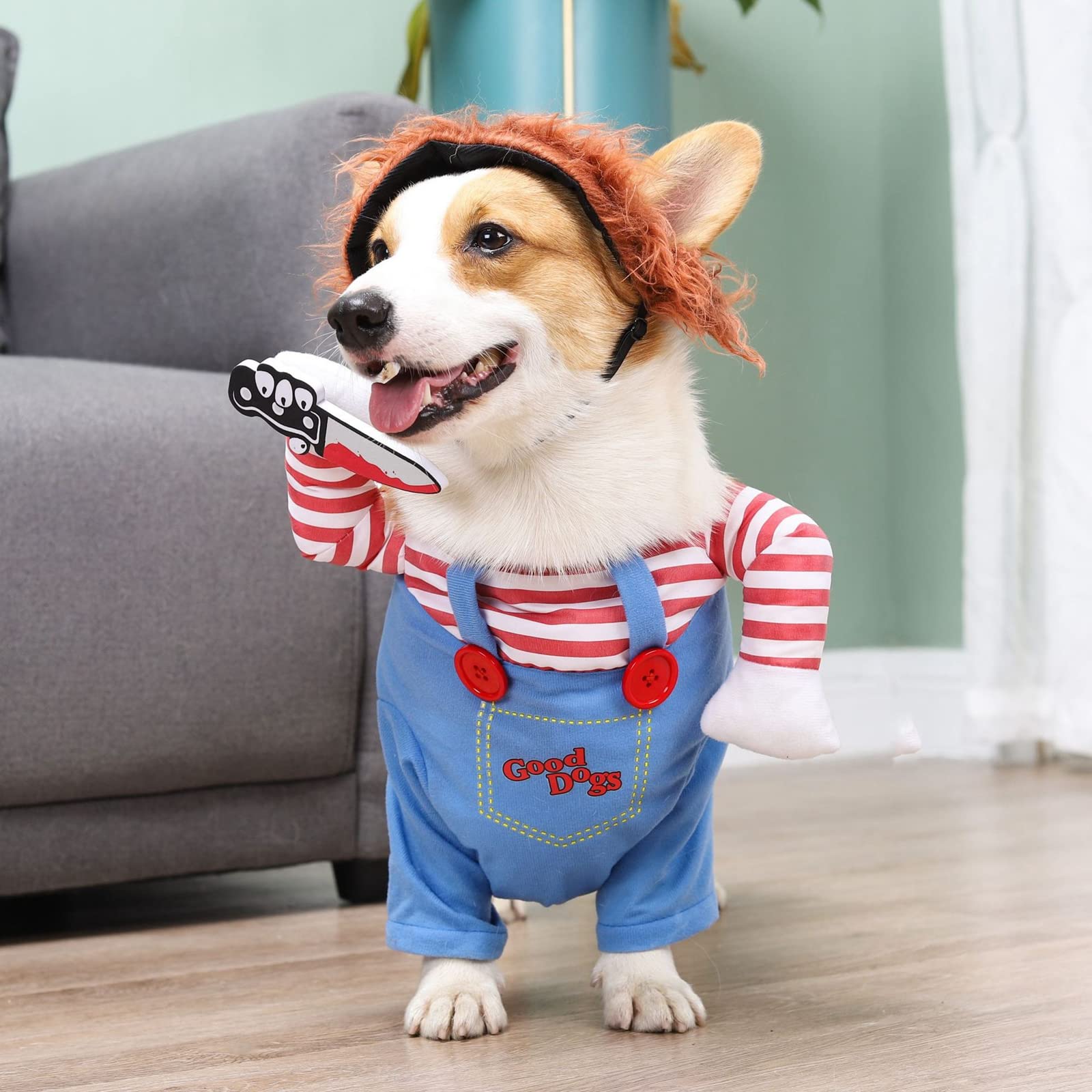 ISMARTEN disfraz para fiestas Halloween, uso diario opcional para tu mascota.