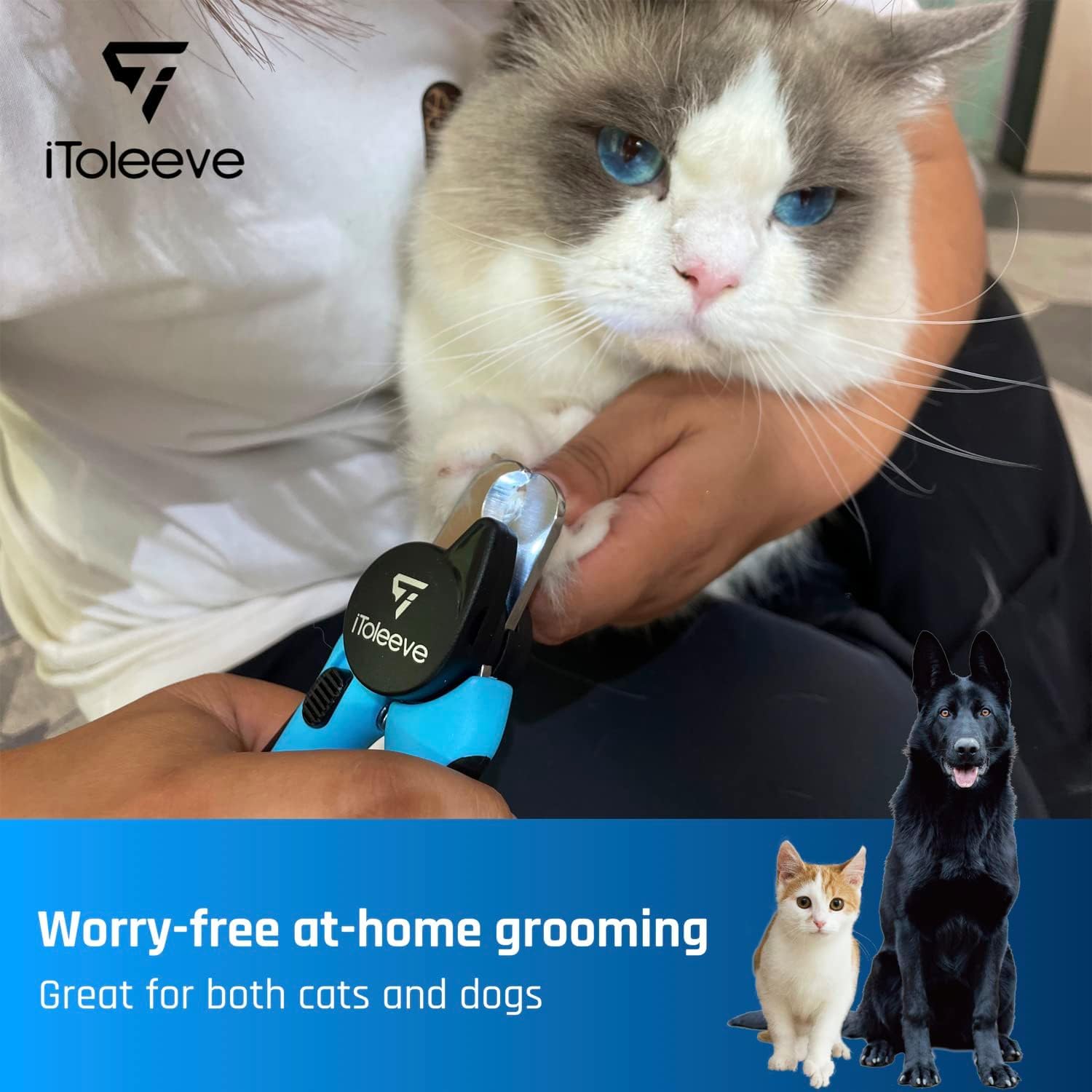 iToleeve diseño pensado para mascotas facilita el cuidado diario