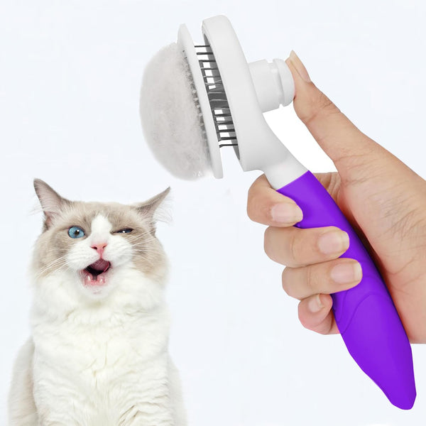 itPlus cepillo masaje piel, puntas suaves para cepillado cómodo.