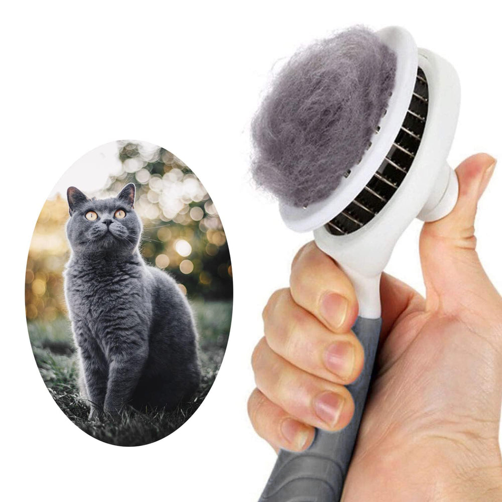itPlus cepillo-slicker para gatos: elimina pelo suelto con suavidad y cuida la piel.