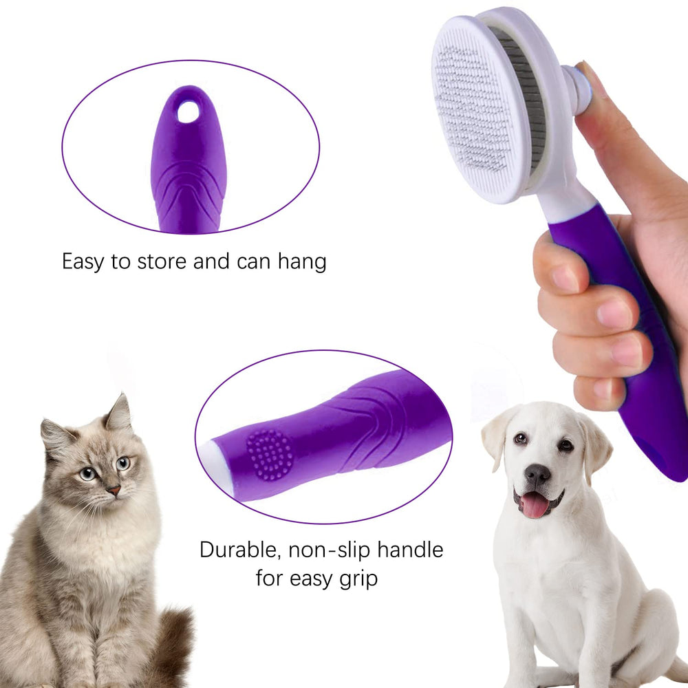 itPlus uso doméstico, spa para mascotas desde casa.