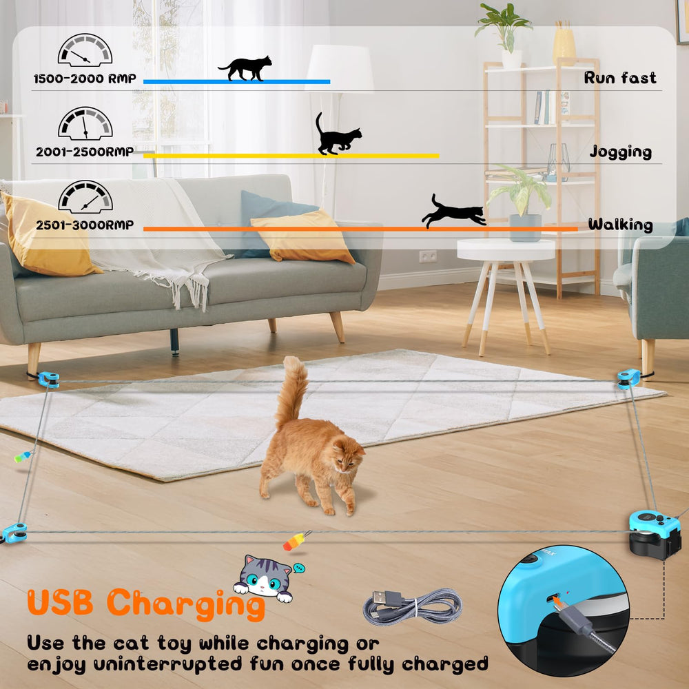 ITSHINY diseño duradero para trotadora de gatos de interior.