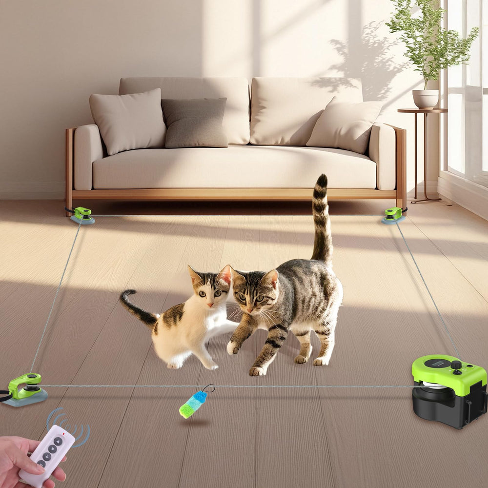 ITSHINY trotadora para gatos en interiores con motor silencioso, ideal para ejercitarse de forma tranquila.