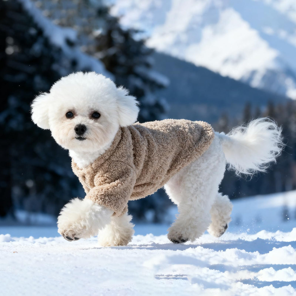 Lavado a máquina compatible, resistente para perros