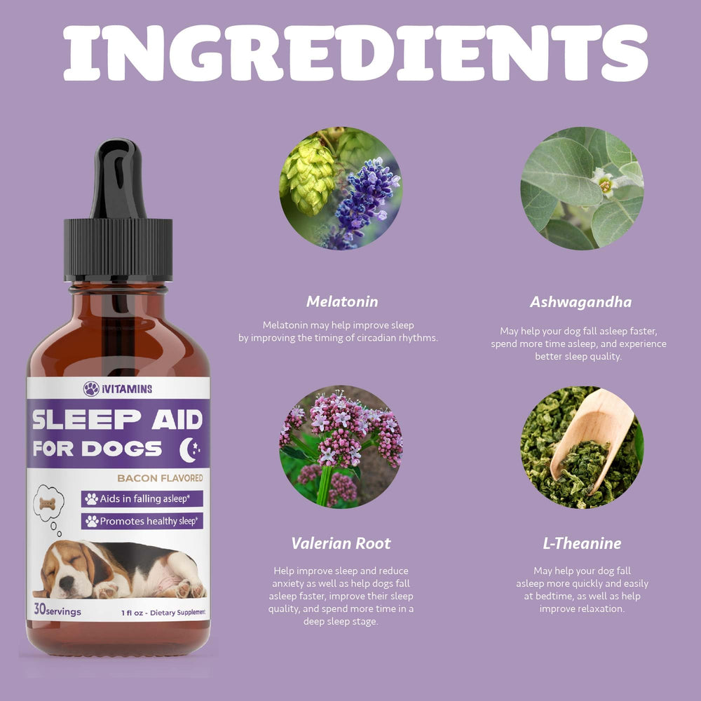 iVitamins ayuda dormir para perros, absorción rápida para resultados consistentes.