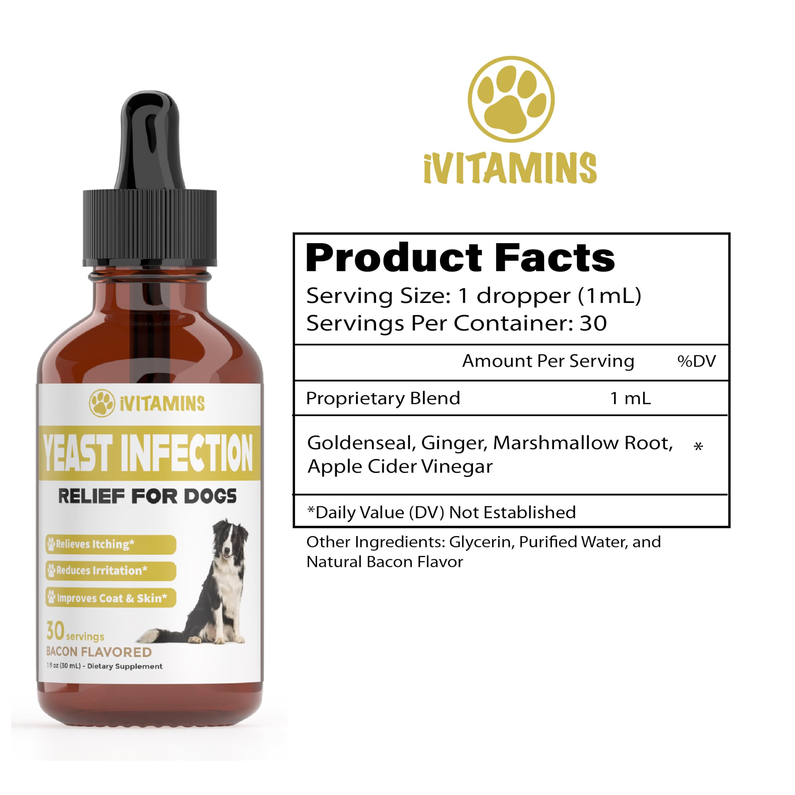iVitamins sabor-delicioso-gotas-perro: perro feliz al recibir tratamiento.