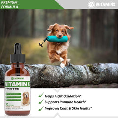 iVitamins Vitamina E para perros, apoyo para la salud visual