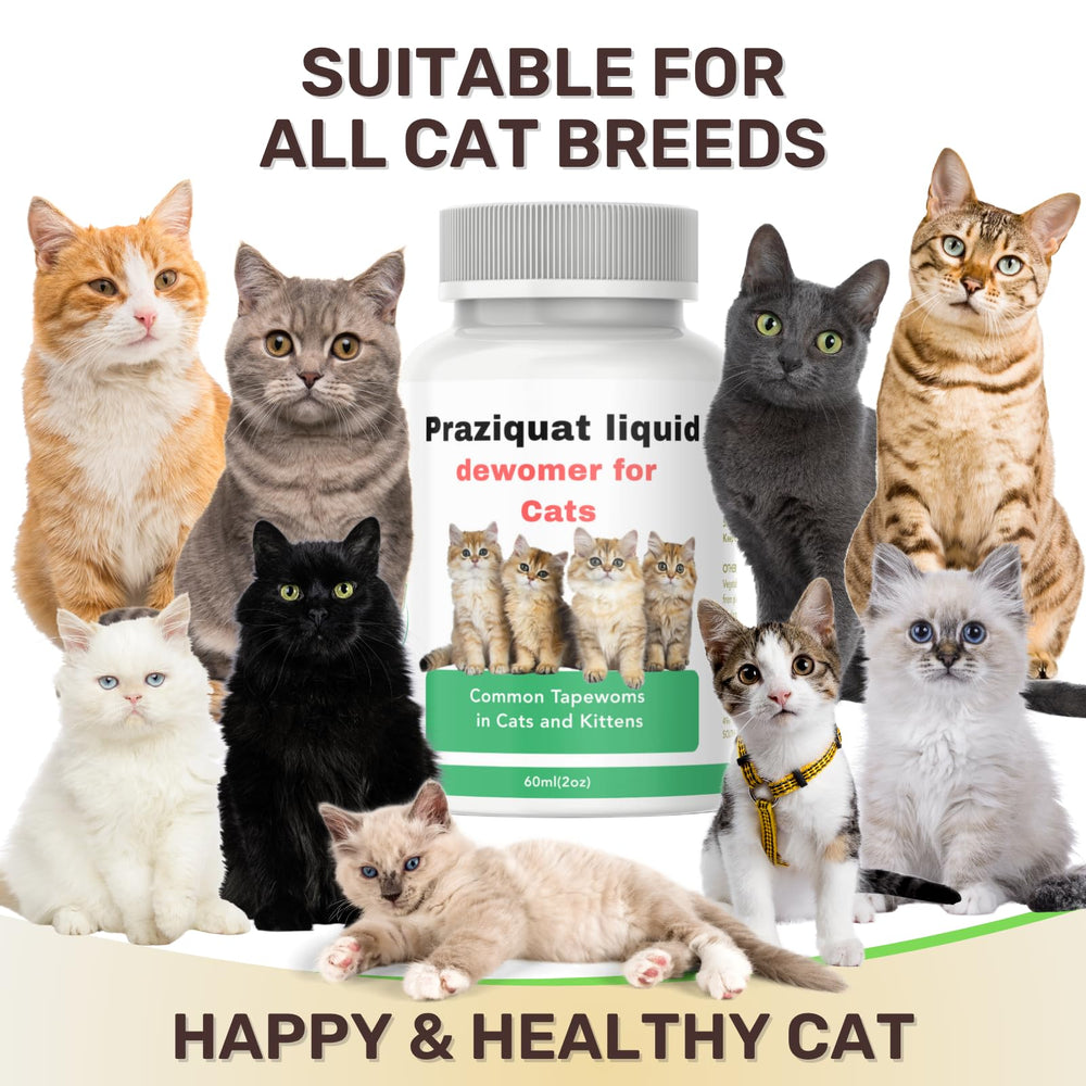 IVULTRA refuerzo de inmunidad para gatos, posible beneficio al mezclar con comida