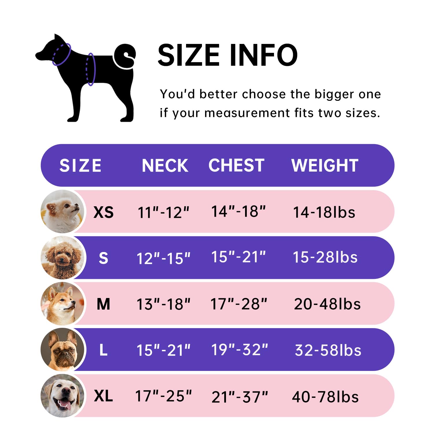 IVY&LANE Arnés ajuste cuatro correas: talla perfecta para perros medianos