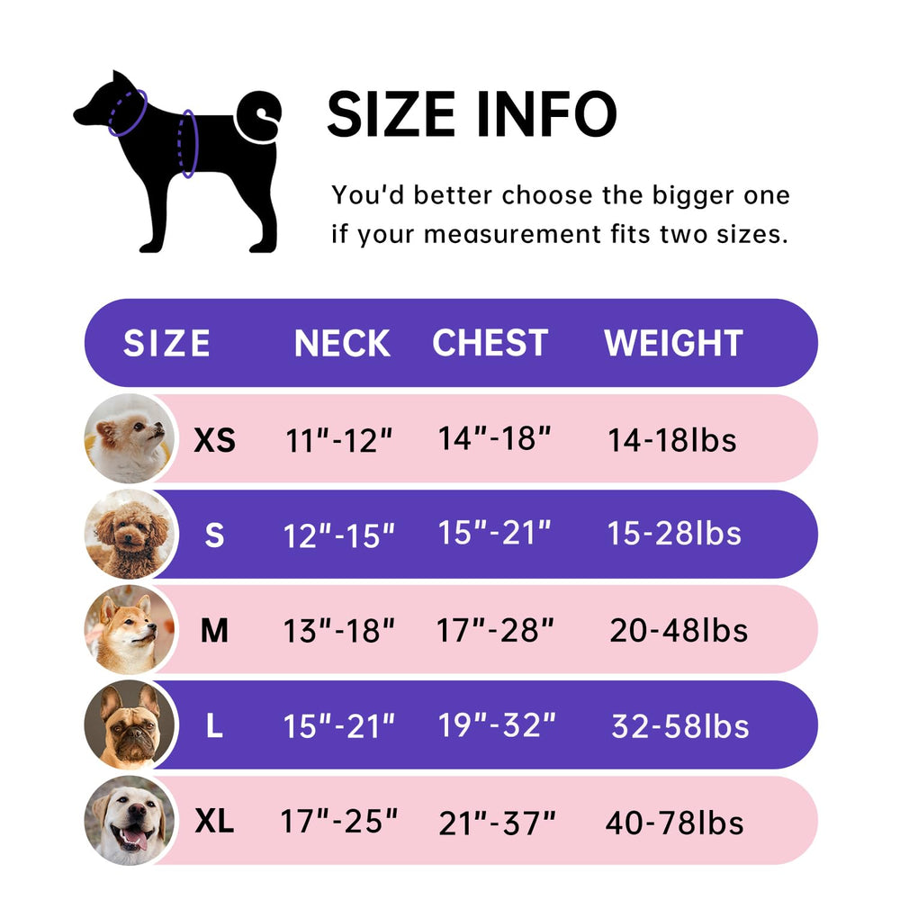 IVY&LANE Arnés ajuste cuatro correas: talla perfecta para perros medianos
