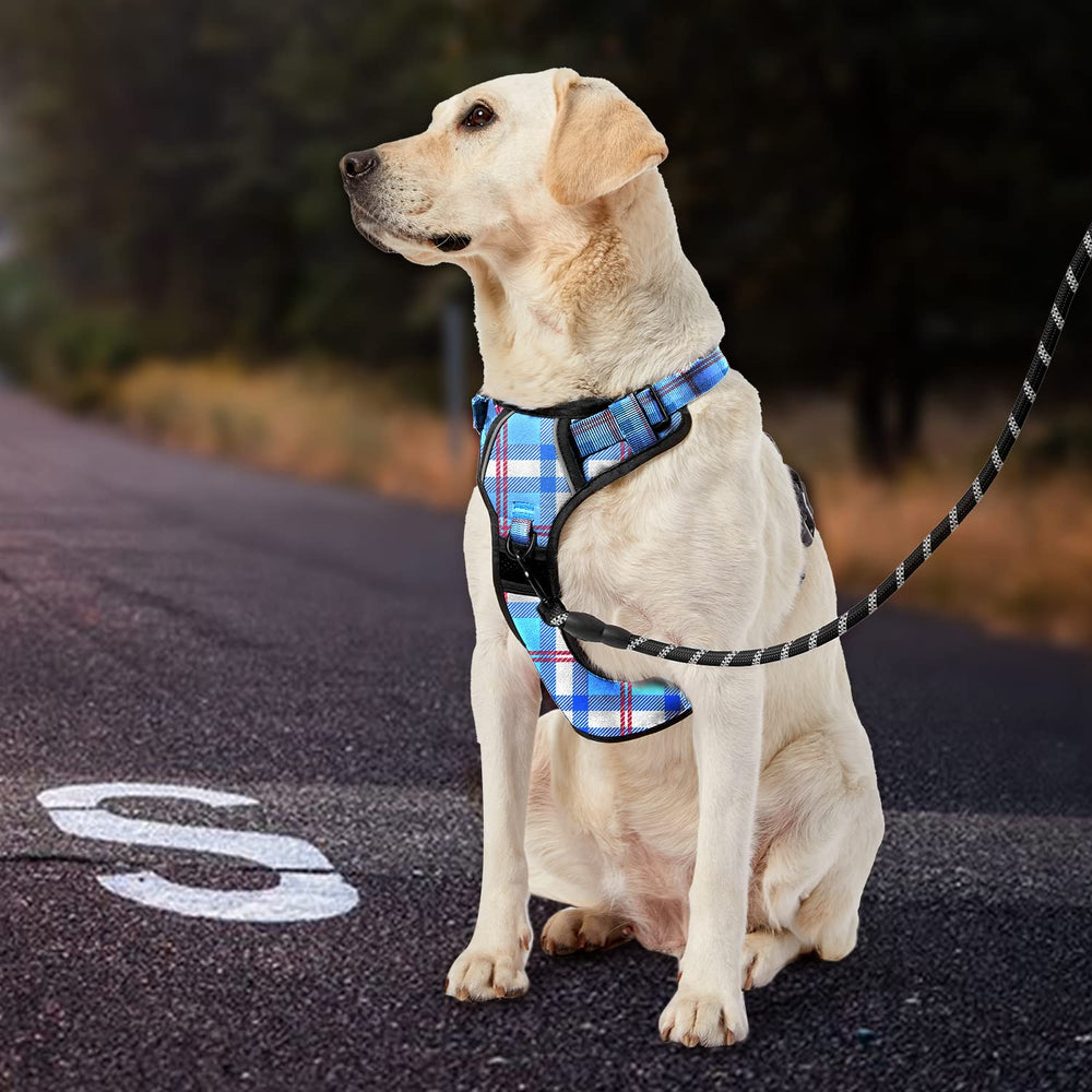 Diseño a cuadros azul IVY&LANE para perros medianos y grandes