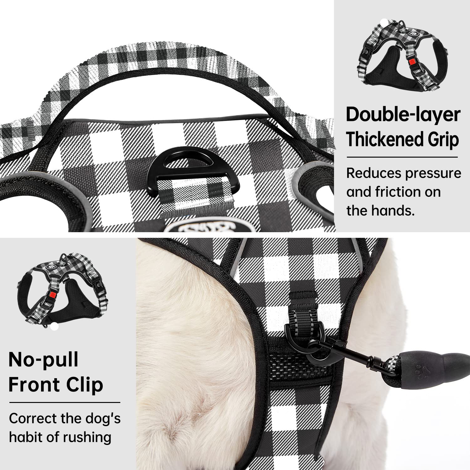 IVY&LANE arnés acolchado de malla suave para perros activos.