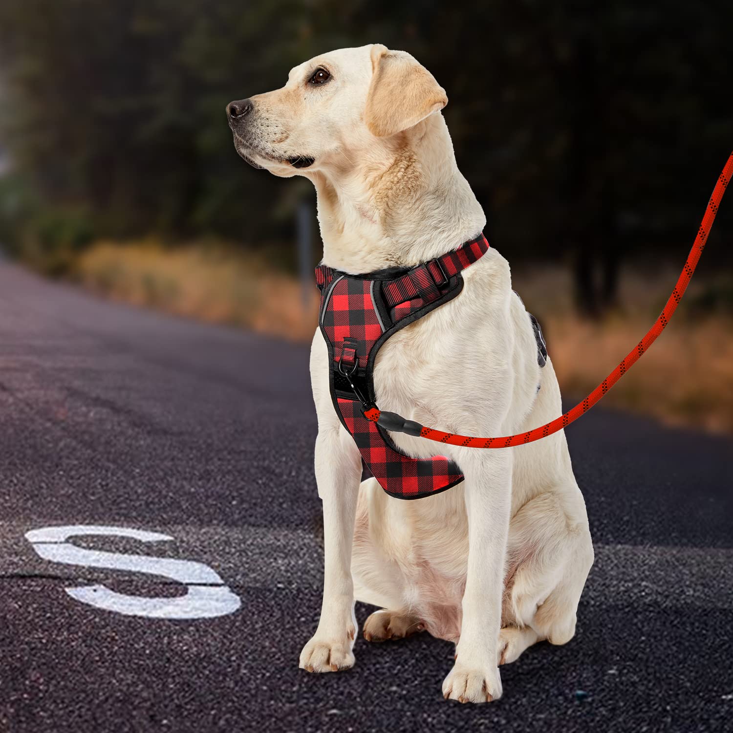 Diseño a cuadros rojos IVY&LANE, ideal para perros grandes.