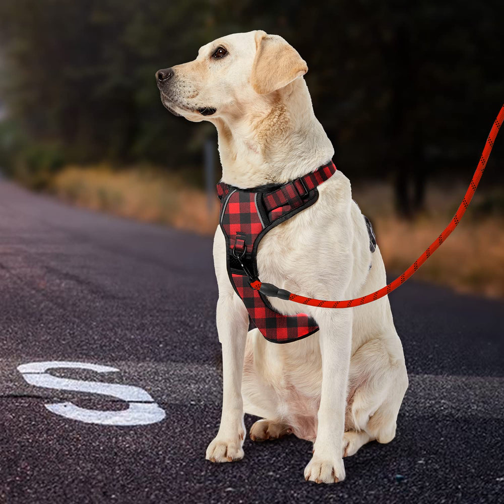 Diseño a cuadros rojos IVY&LANE, ideal para perros grandes.