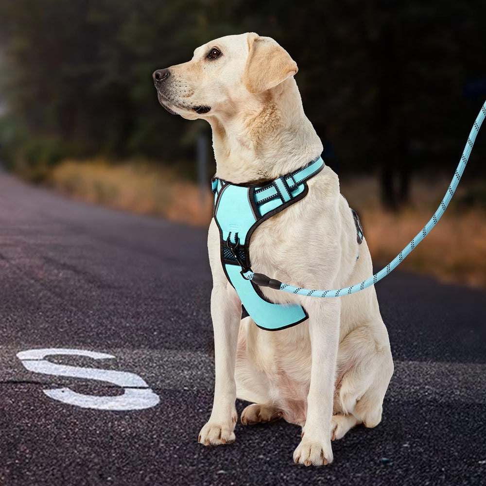 IVY&LANE diseño ergonómico y confort para perro mediano