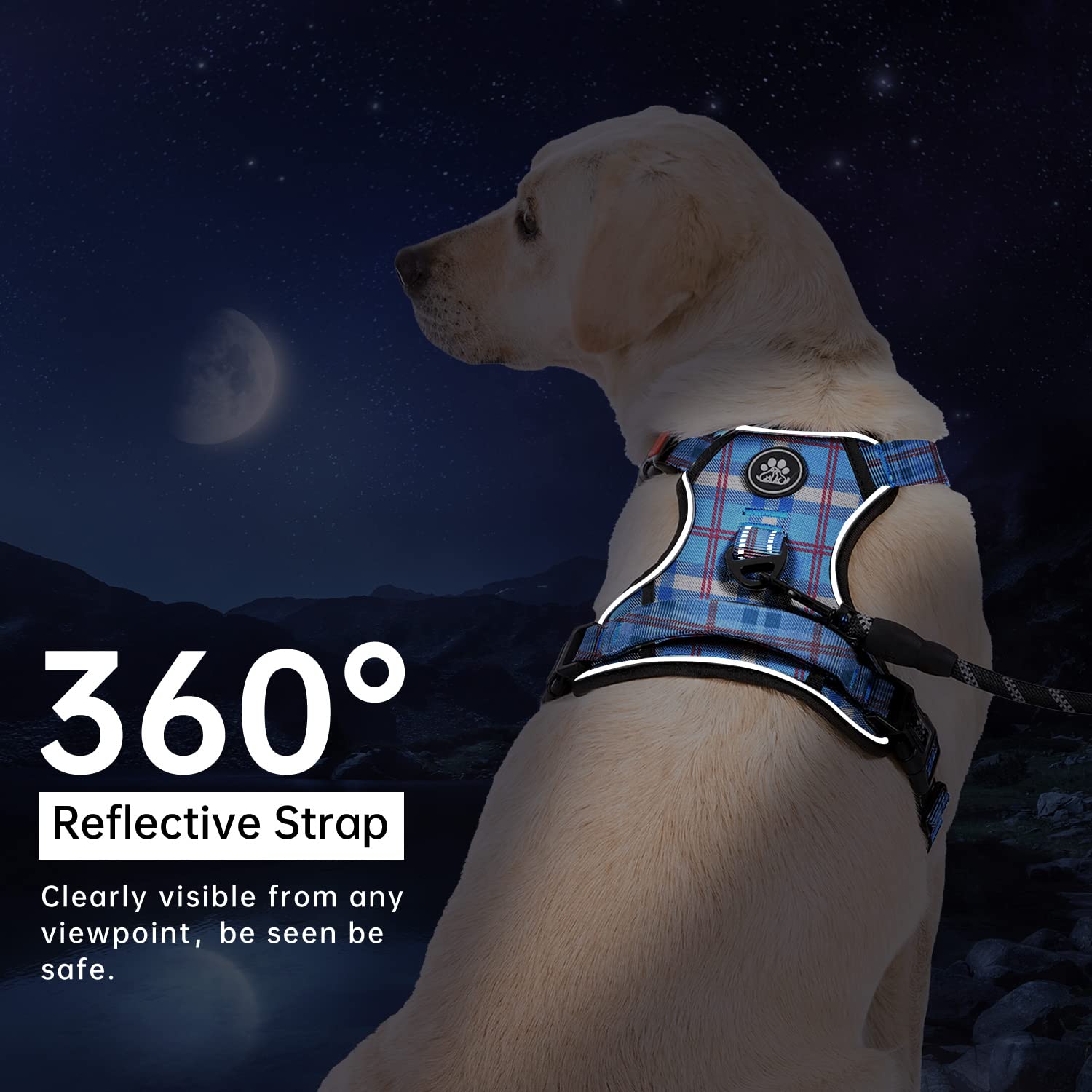 Set de accesorios IVY&LANE incluido para transporte y seguridad del perro