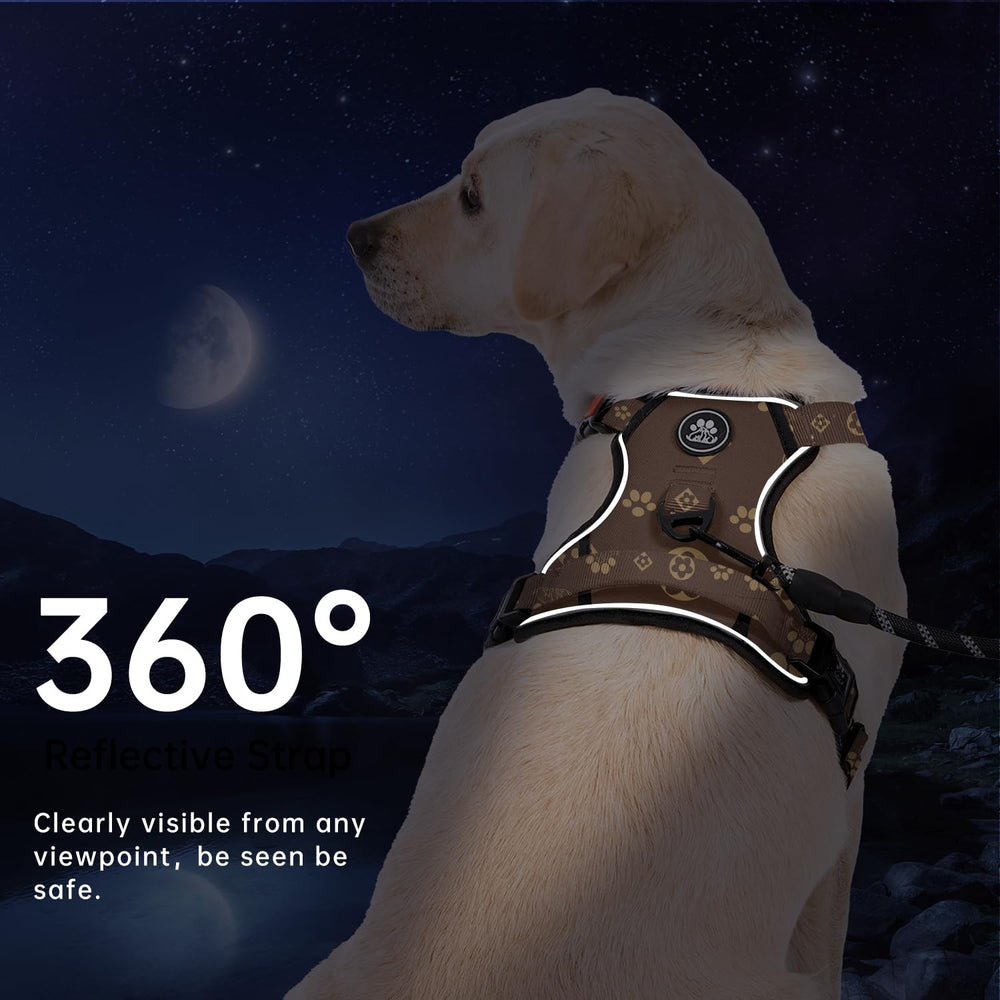 IVY&LANE kit de accesorios, almacenamiento seguro para paseos