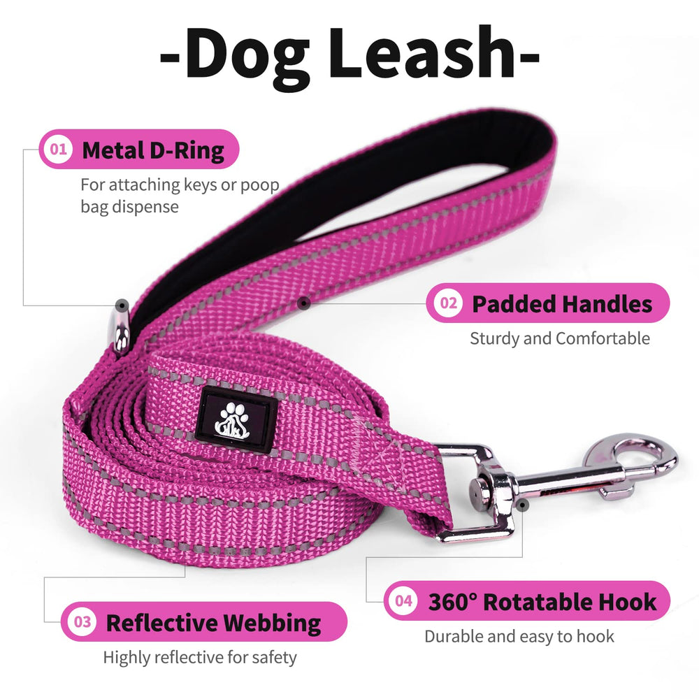 Asa acolchada ergonómica del collar IVY&LANE para un agarre cómodo.