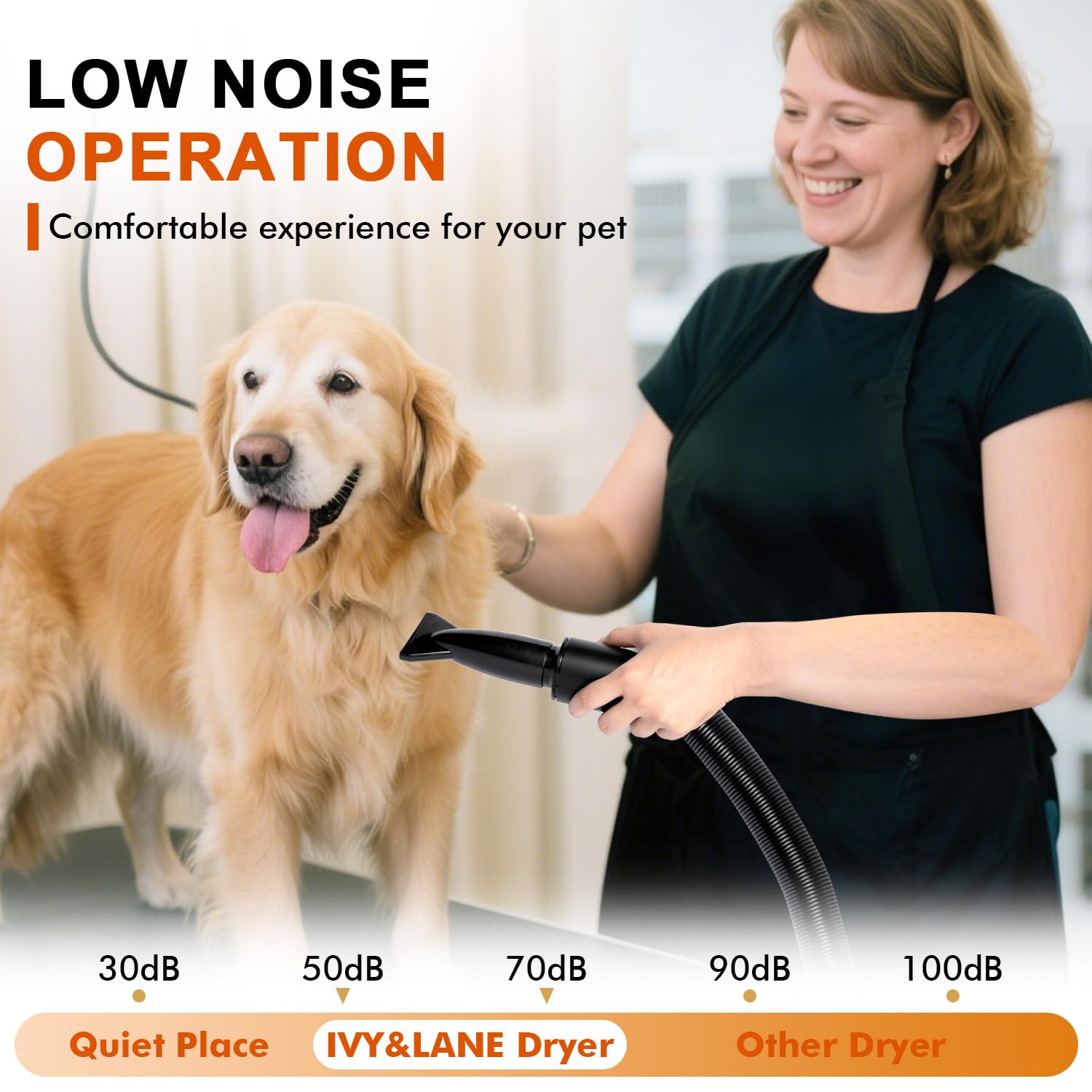 IVY&LANE secador para perros, control de velocidad y temperatura ajustables.