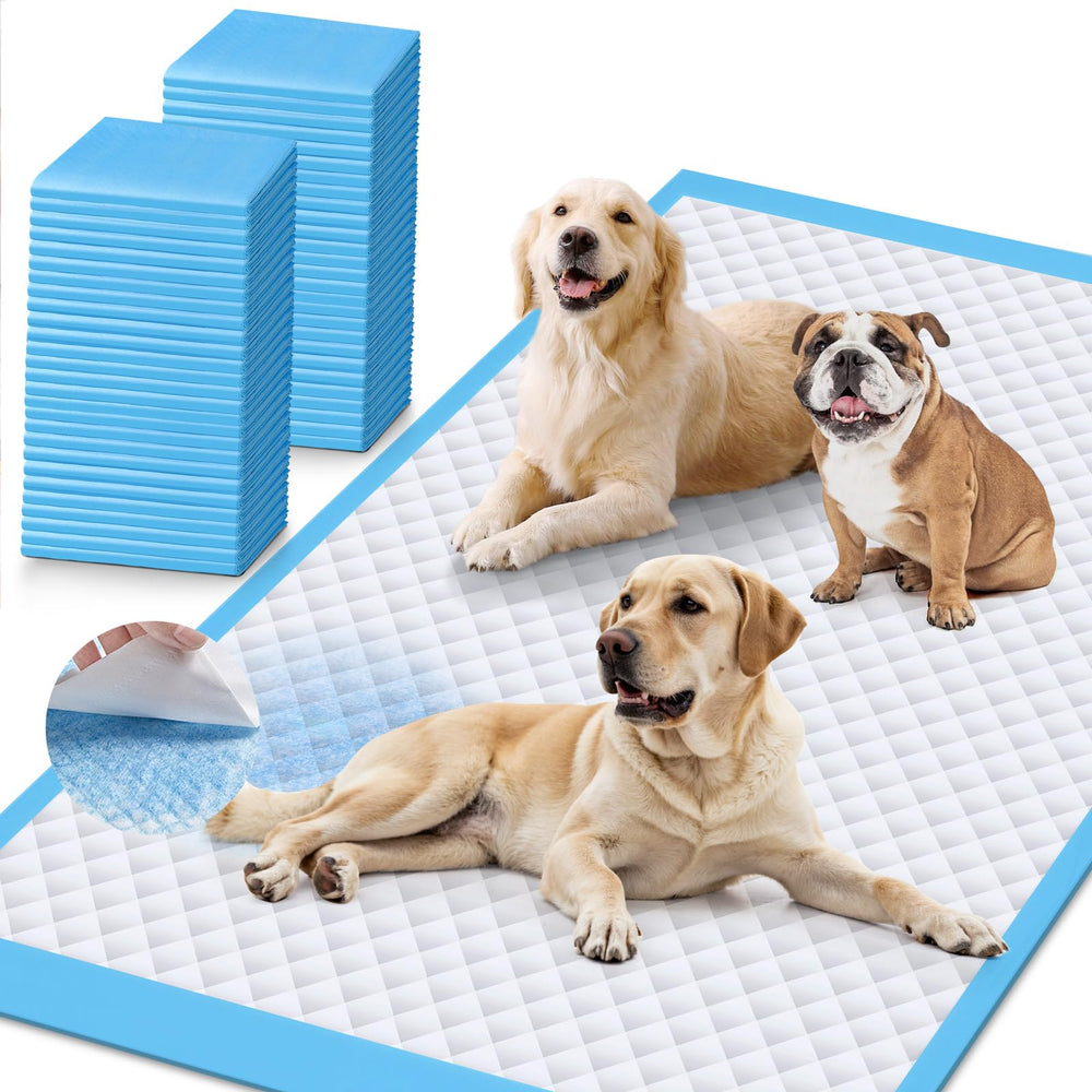 Iweepet almohadillas absorbentes de rápida absorción para perros, ideal para proteger suelos durante el entrenamiento.