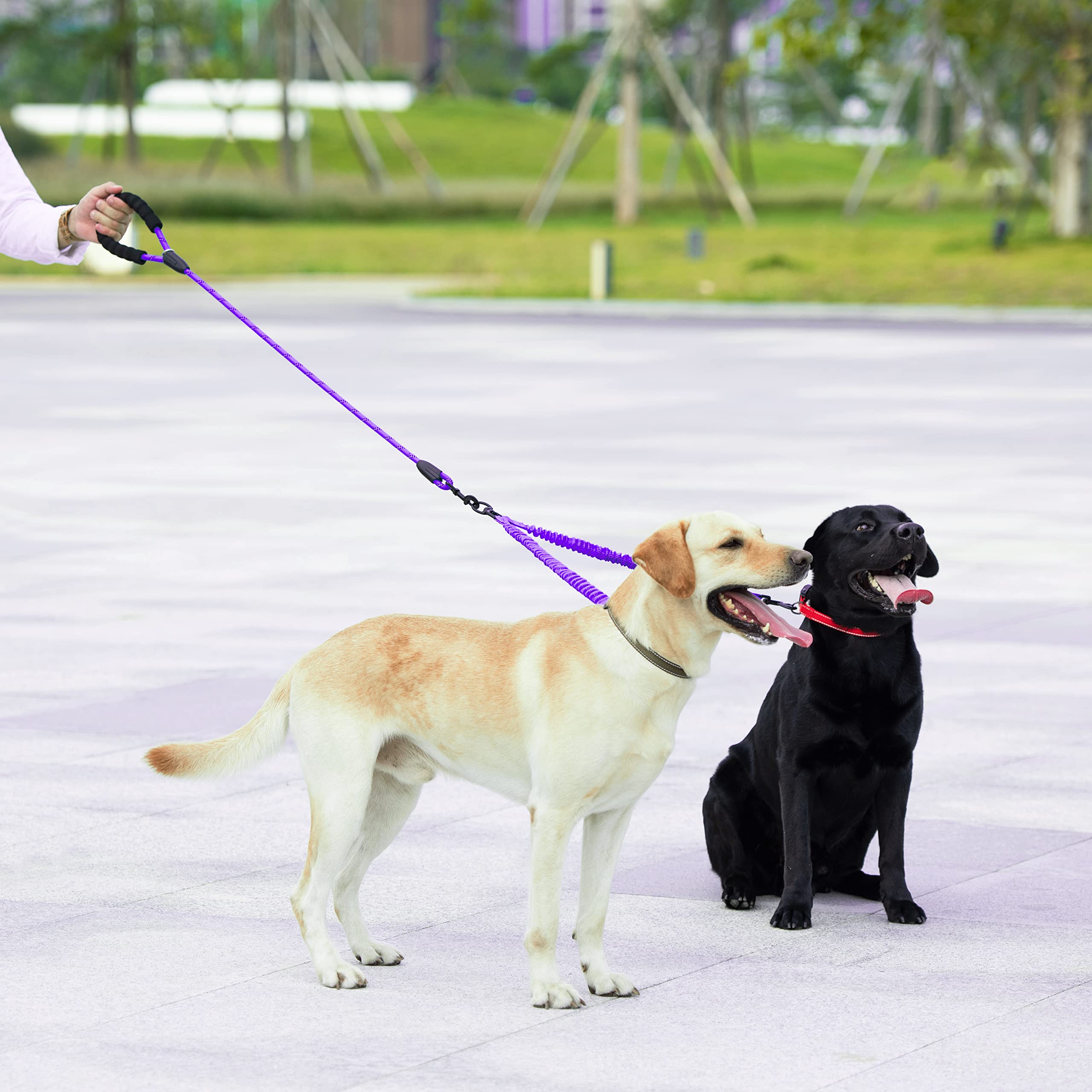 Ideal para paseos con dos perros grandes entre 25 y 150 libras