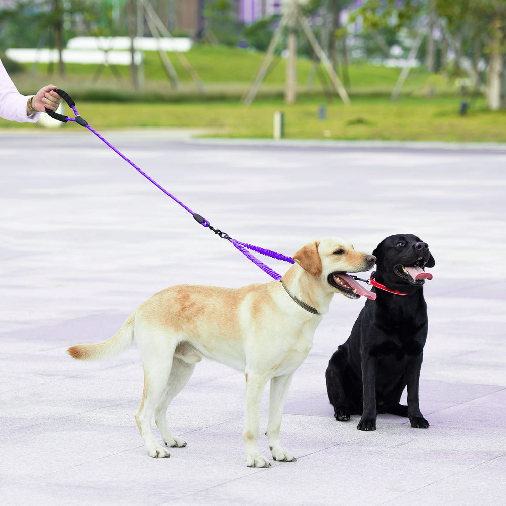 Ideal para paseos con dos perros grandes entre 25 y 150 libras