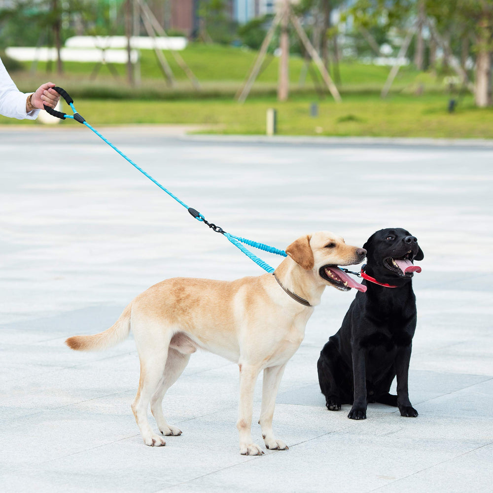 iYoShop Paseos con dos perros, movimiento fluido gracias al giro y la extensión.
