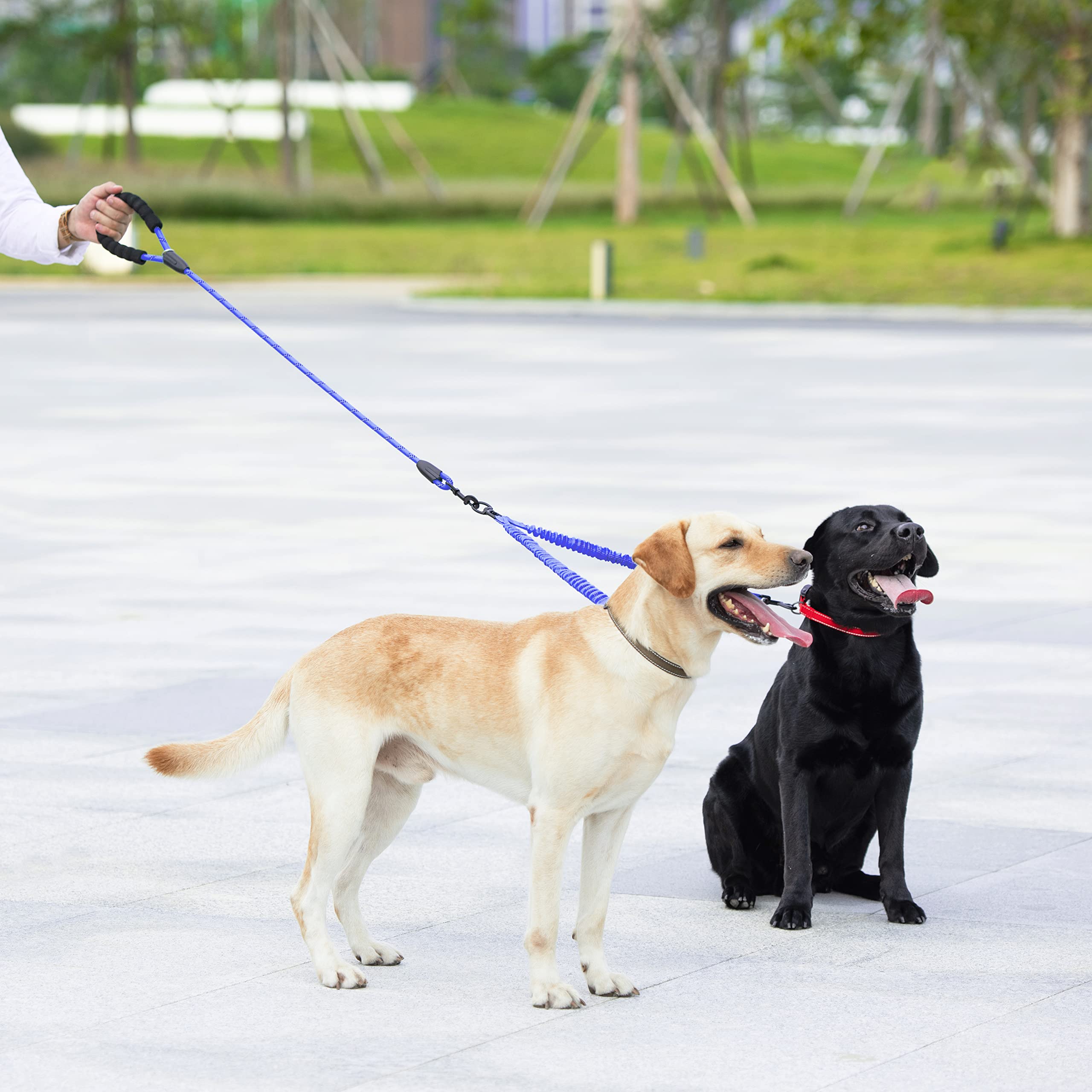 iYoShop ideal para caminatas diarias con dos perros y mayor libertad controlada
