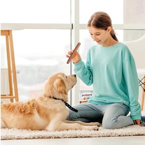 Jack&Pup stick dentales: beneficios para dientes y encías.