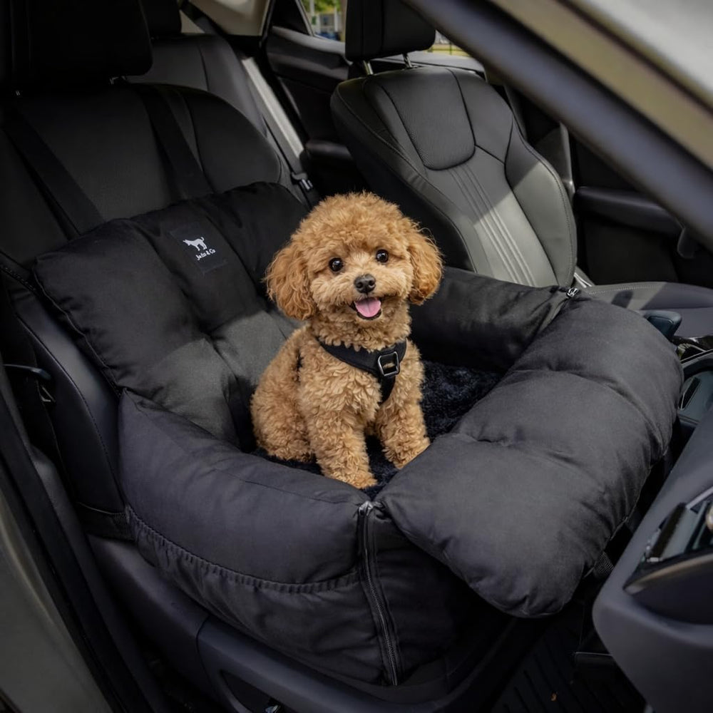 Jacko & Co: asiento trasero con hebilla de seguridad para viaje estable.