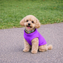 Chaleco JACKO & CO morado, ideal para paseos.